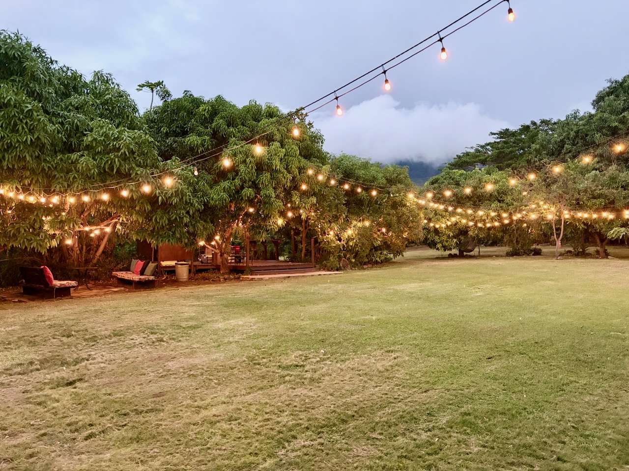 String lights
